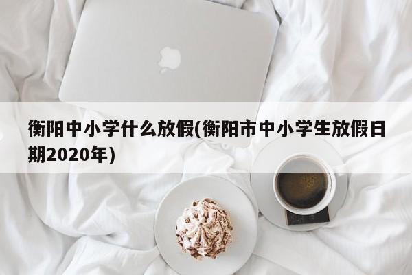 衡阳中小学什么放假(衡阳市中小学生放假日期2020年)