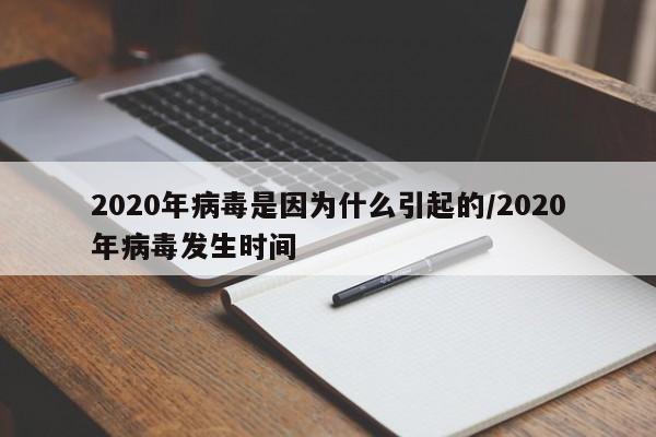 2020年病毒是因为什么引起的/2020年病毒发生时间