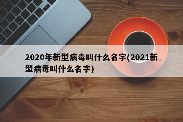 2020年新型病毒叫什么名字(2021新型病毒叫什么名字)